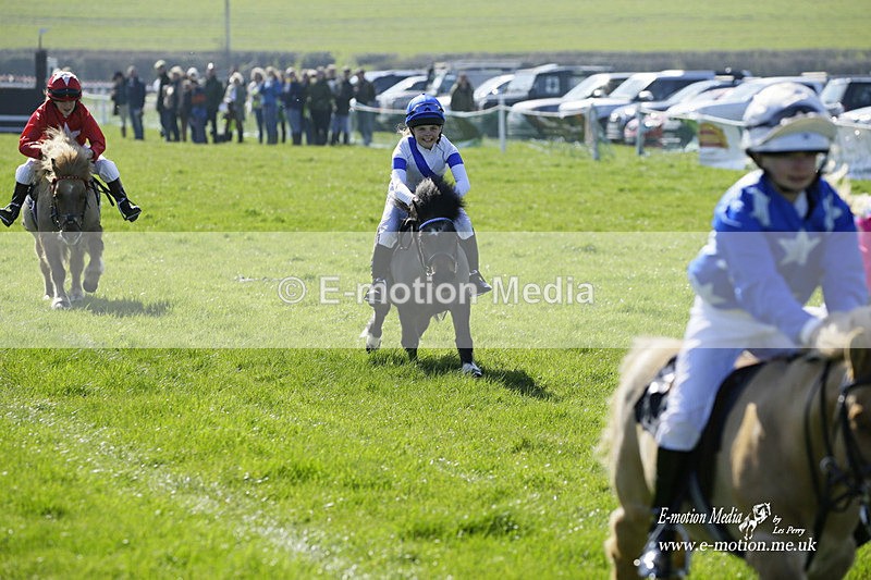 PtP 190322 20 - Wilton Hunt PtP Milborne St Andrew 19/03/22