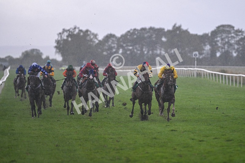 150925-Race 6-Day Of Grace-3110 - Race 6