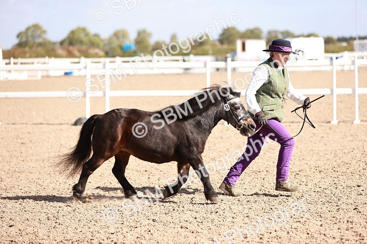 SBM_22814 - Class 705 - IH Combination 65+