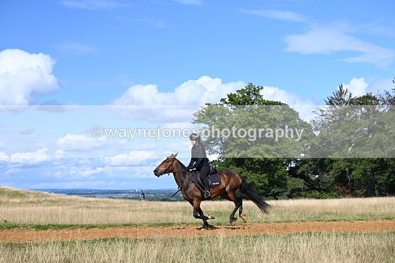 DSC_0192 - Time at Statue 15:58 to 16:05