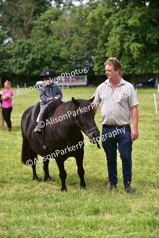 20260614-4022 - Class 16 - Handsome Gelding