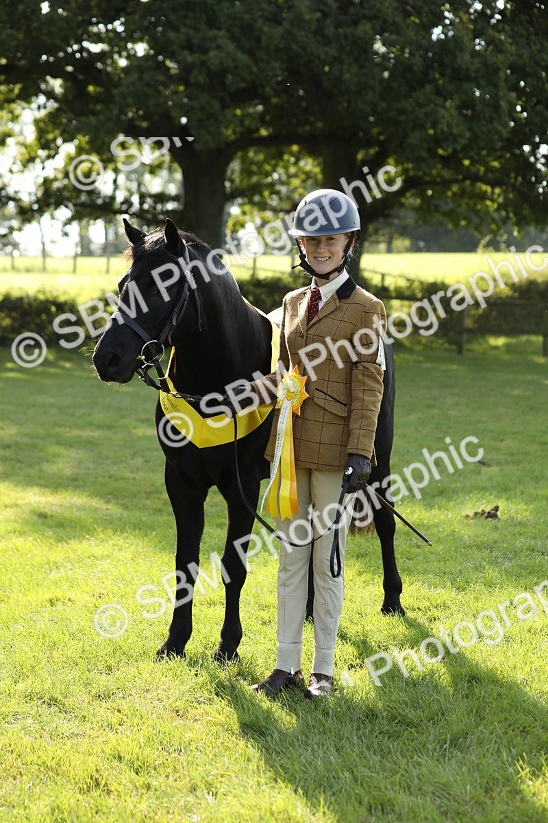 SBM_61059 - S44 - Part Bred Pony In hand