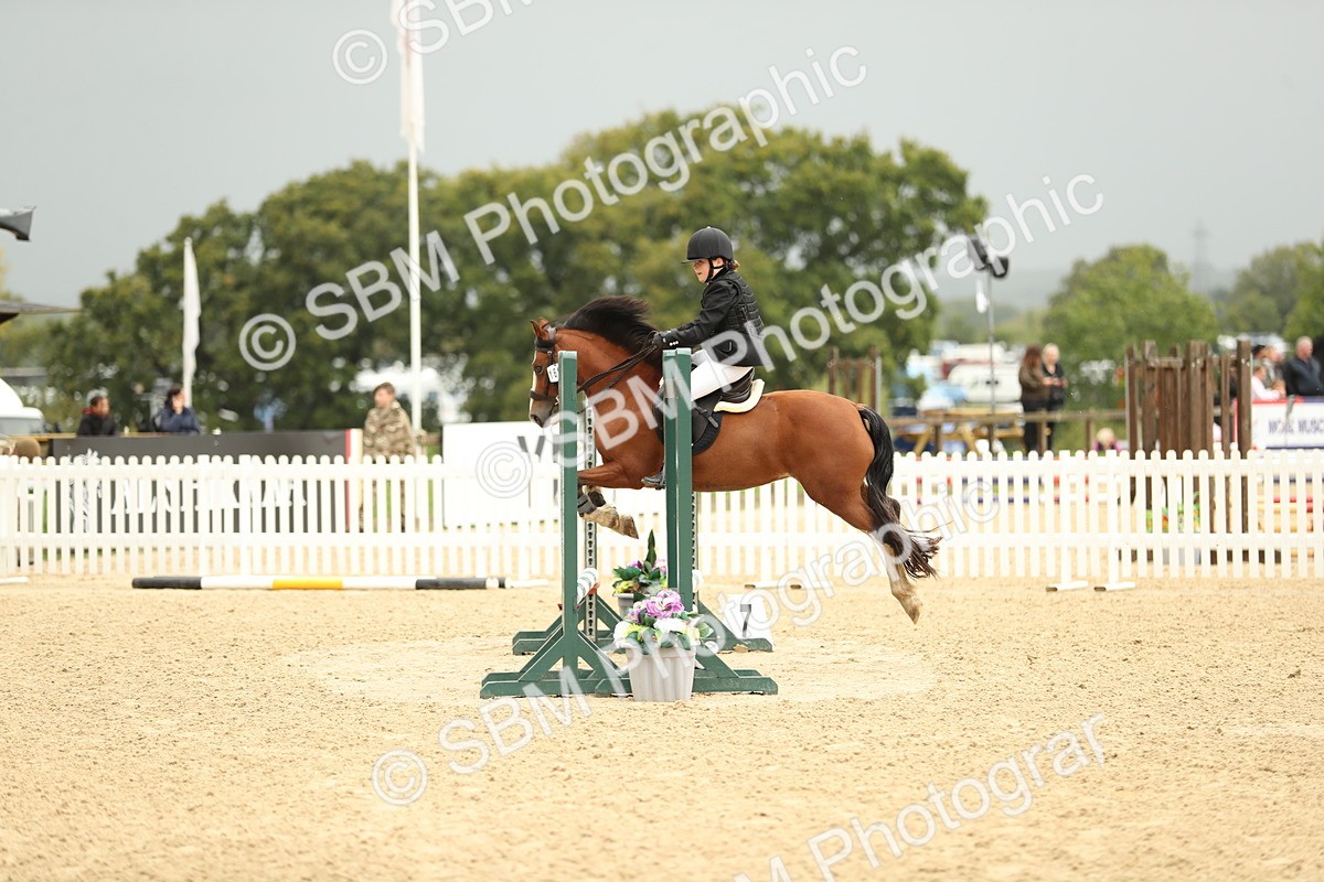 SBM_34255 - J60 Clear Round 50cm