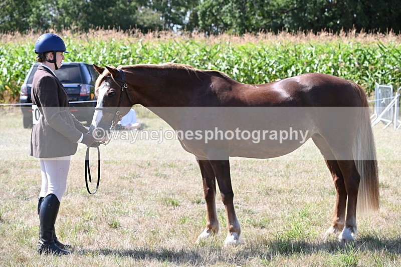 WJ6_4964 - Class 17 Mountain & Moorland