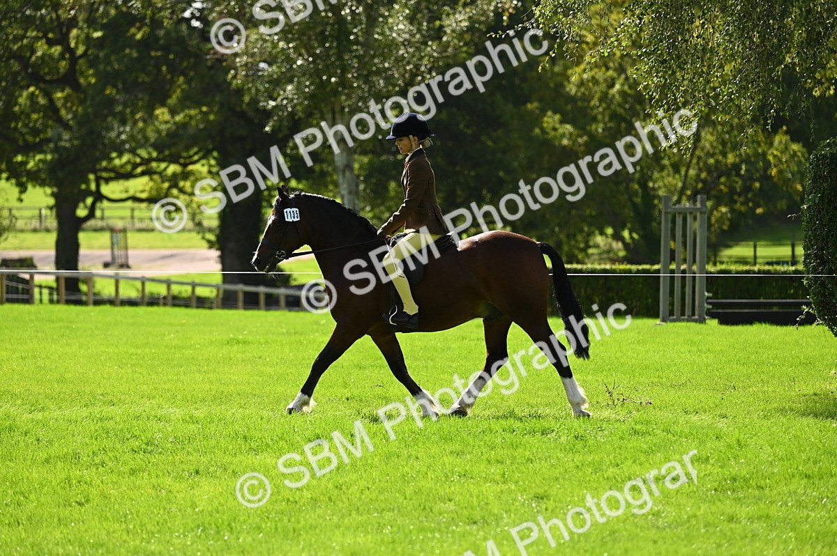 SBM_02767 - S3 - TSR Ridden Pony Showing