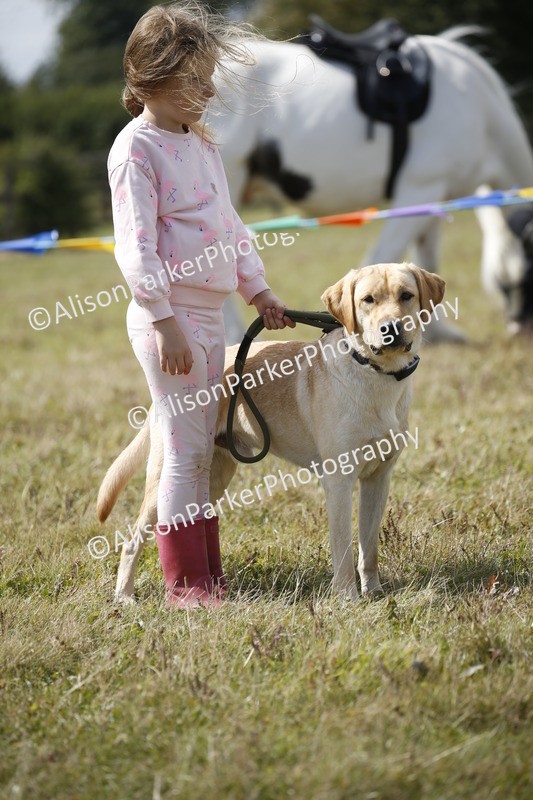 20250831-3778 - Dog Show
