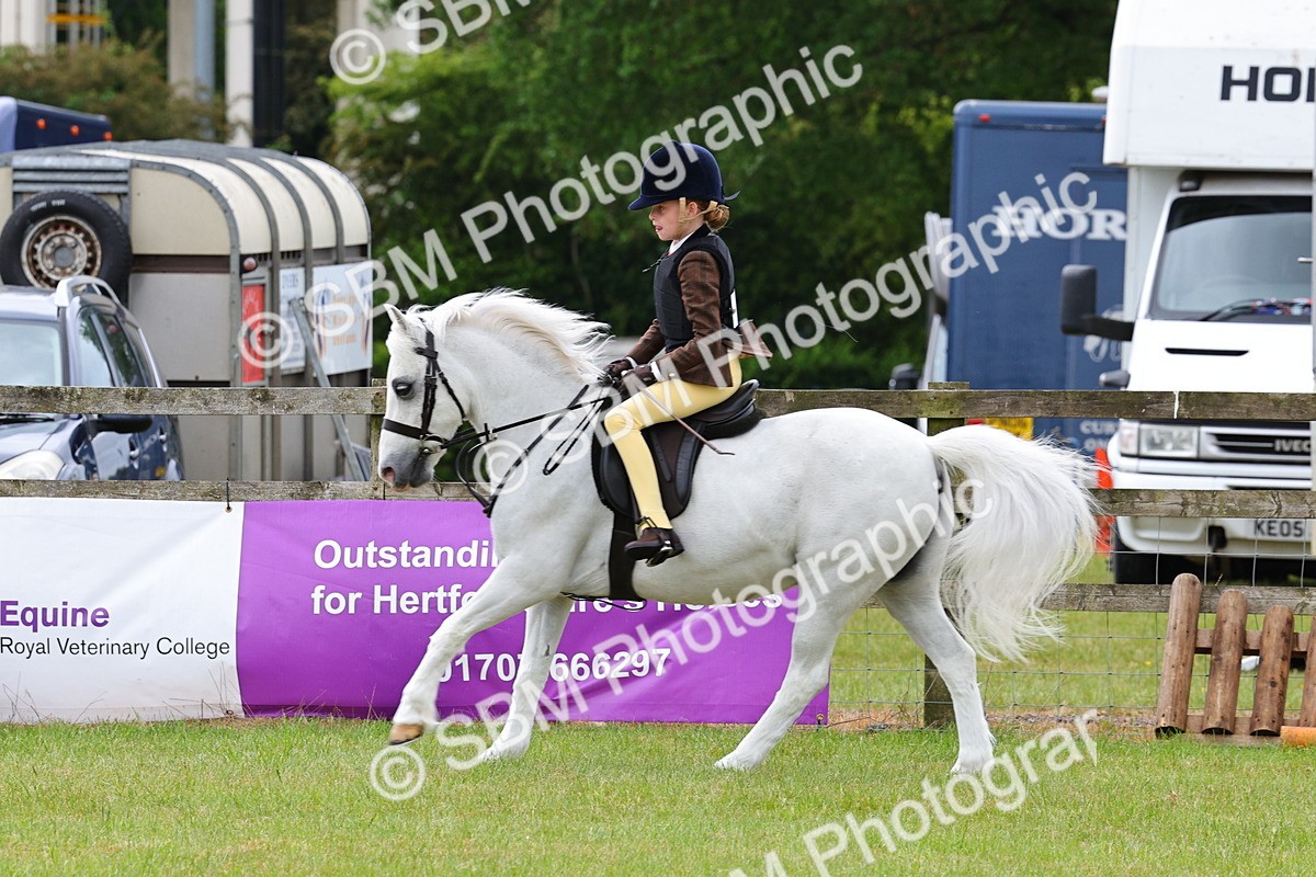 SBM_08660 - Class 42-43 - LIHS BSPS Heritage Working Sports Pony