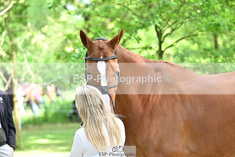 250521A-151619-00390 - B-306-Kat.Raybould-DALOUBET.MANSOLEIN.Z