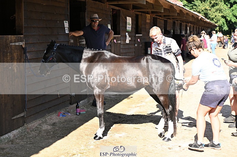 240729B-091337-01745 - Monday Stable Shots