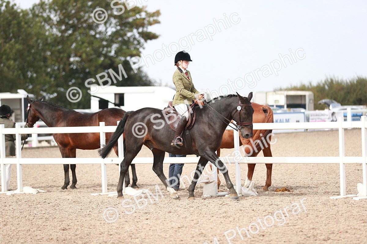 SBM_14815 - Class 212 Ridden Hunter - Small