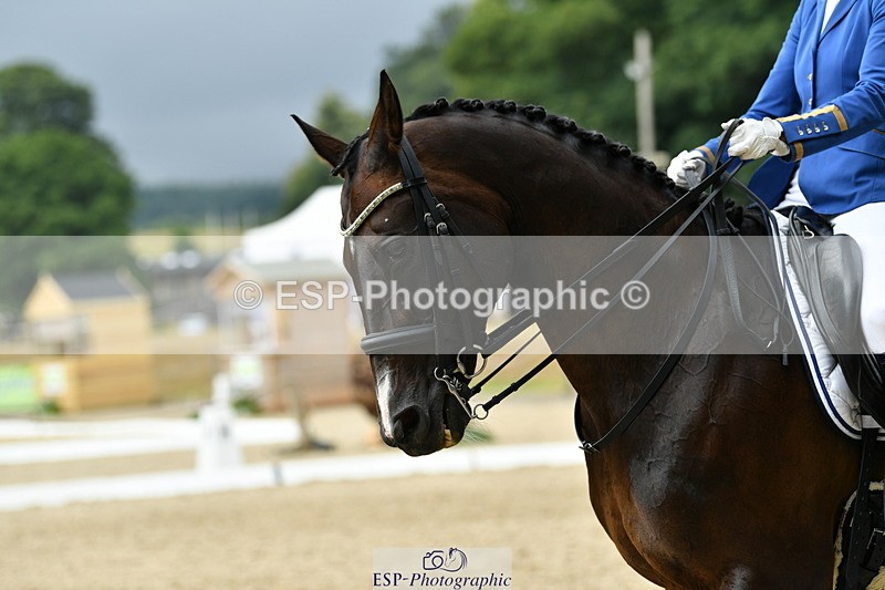 250718A-135826-01938 - 038-Natasha.Collings-Costello-Dovevale.Tender.Dove