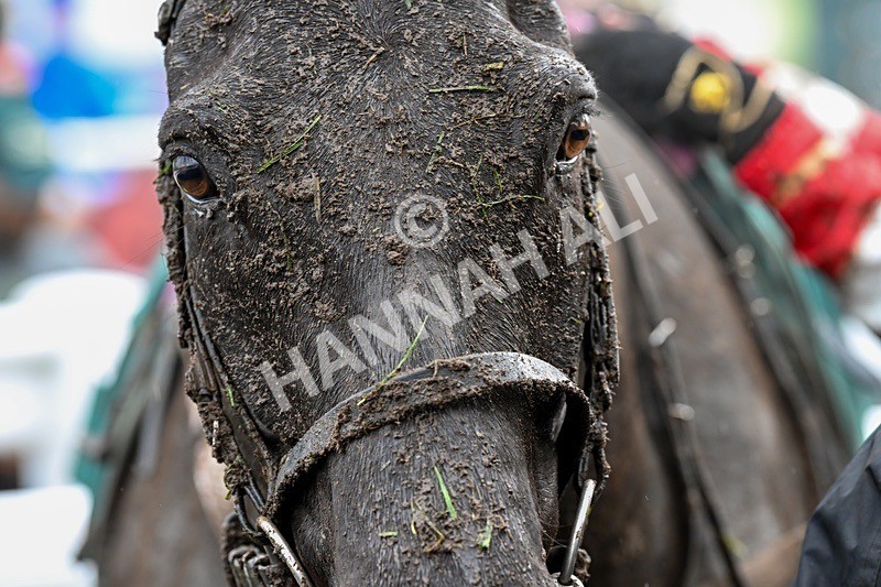  - Race 5