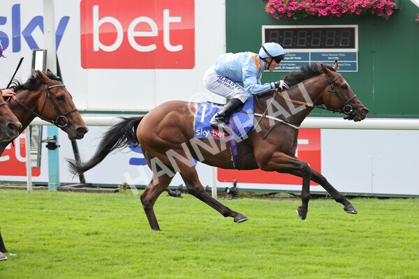 yr18082021r1-65 - Race 1 1.50pm Sky Bet & Symphony Group Stakes