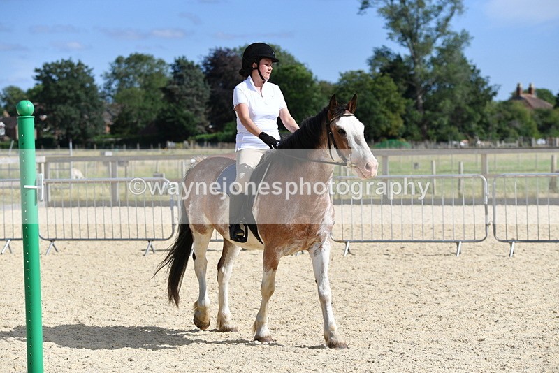 WJ5_5530 - Poles on the Floor