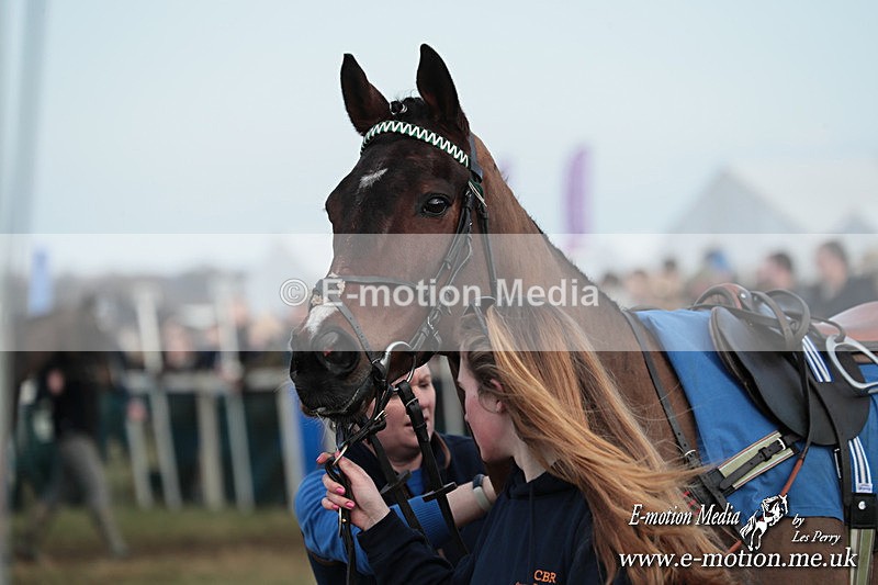 PtP 010325 540 - Beaufort Races Didmarton 01/03/25