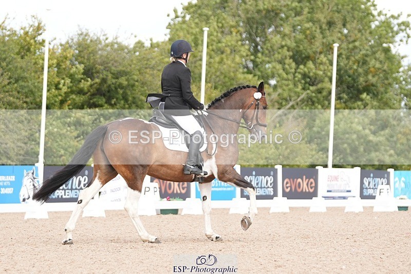 250906-110602-01948 - 026-Alison.McCarthyFarleaze.Lady.Sylvia