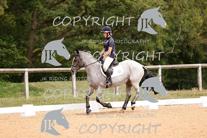 _R6A2876 - Dressage Morning