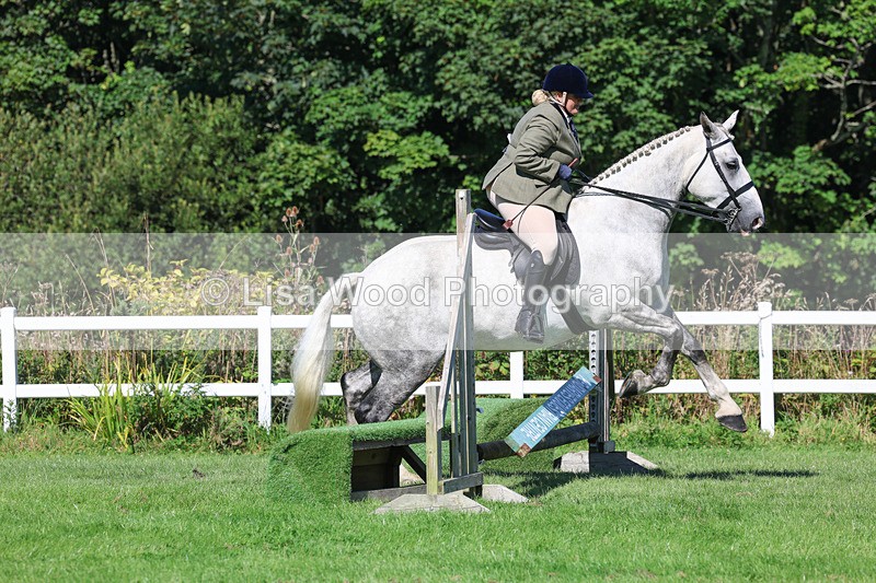 3E7A8250 - Class 4: Novice working Hunter