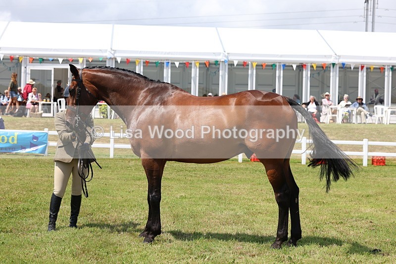 3E7A1689 - Class 9: Open Hunter