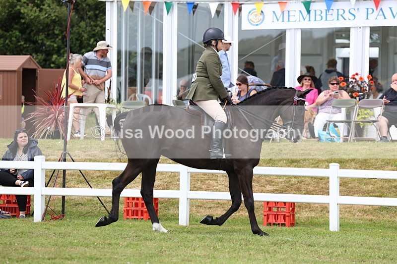 3E7A0815 - Class 8: Open Riding Horse/Hack