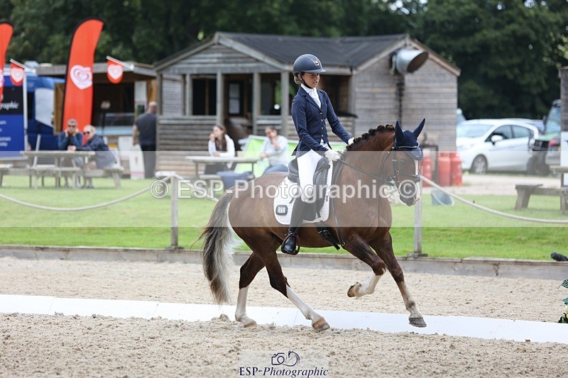 230812-120242-03917 - Cls 5 Novice Bronze 11.15 to 12.50 break