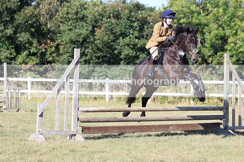 3E7A5485 - Class 3: Working Hunter 70cm