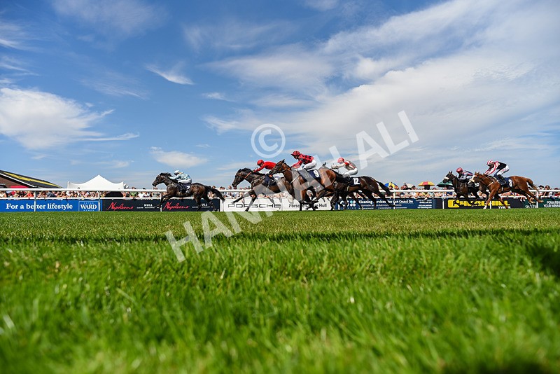 120826-Race 1-Lexington Boom-6243 - Race 1 14.15pm Macan At Porsche Centre Hull EBF Restricted Novice Stakes