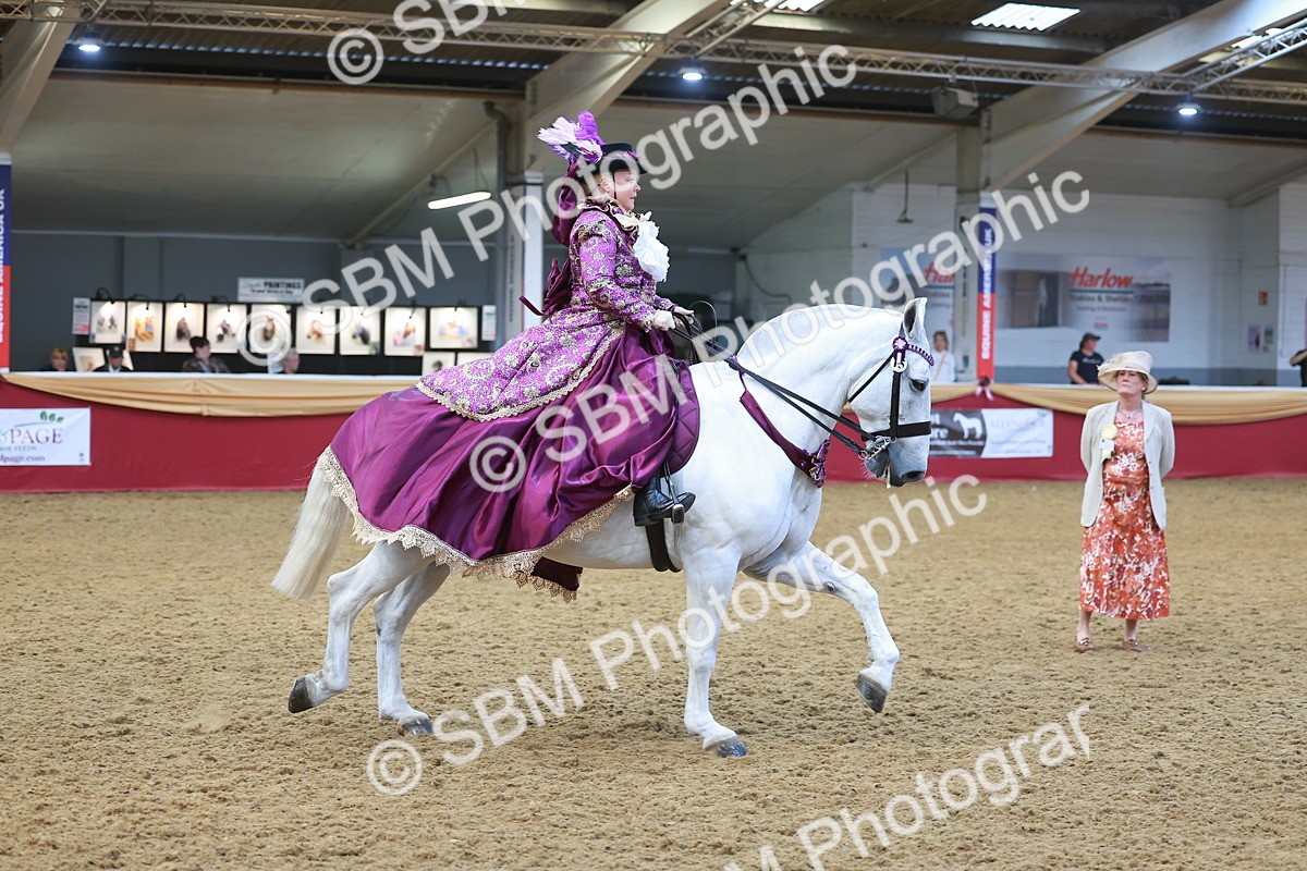 SBM_14002 - Class 107 - Ridden Costume = Astride Adult (15-19)