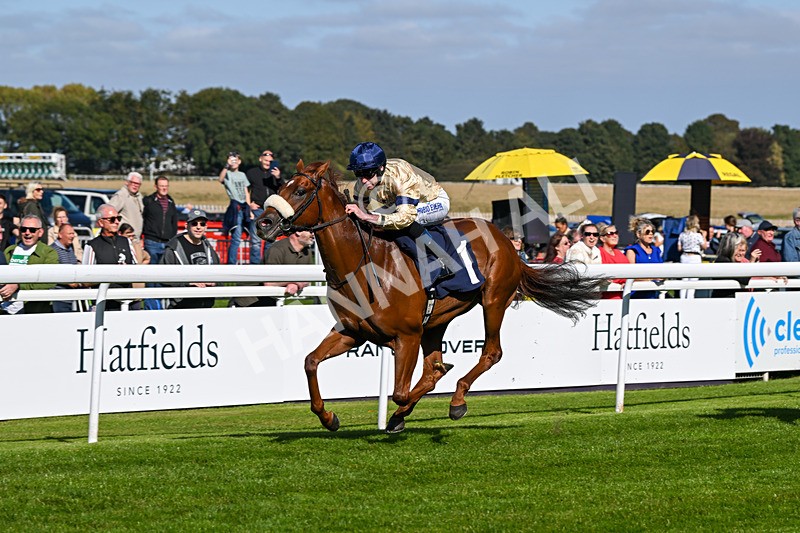 180924-Race 2-American Style-3966 - Race 2