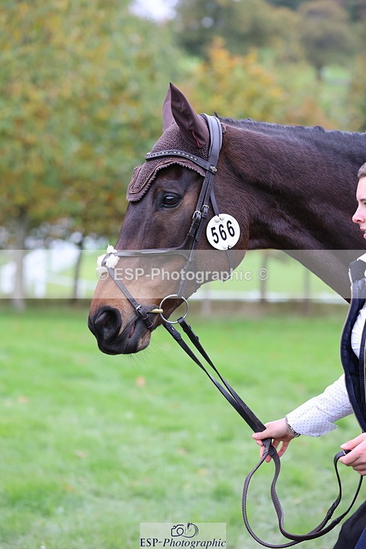 251026A-110401-23488 - G-566-Charlotte.Smith