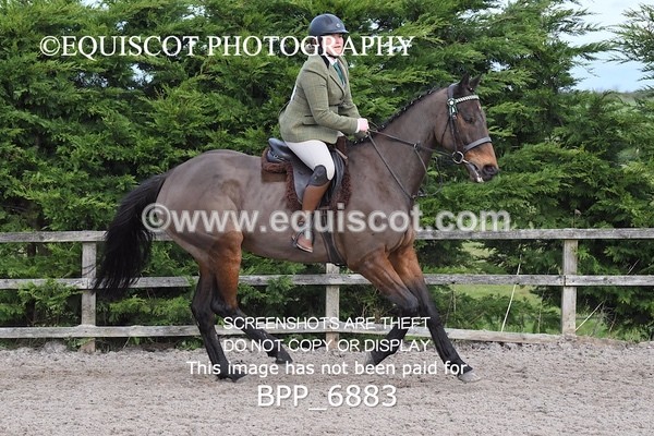 BPP_6883 - RING 1  (RIDDEN HORSES / IN HAND / VETERAN ETC)
