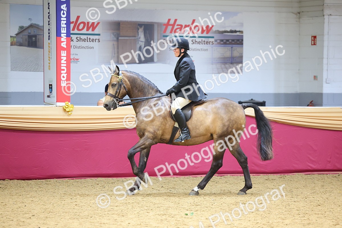 SBM_24410 - Class 906 - Supreme Final - Ridden Pre Vet