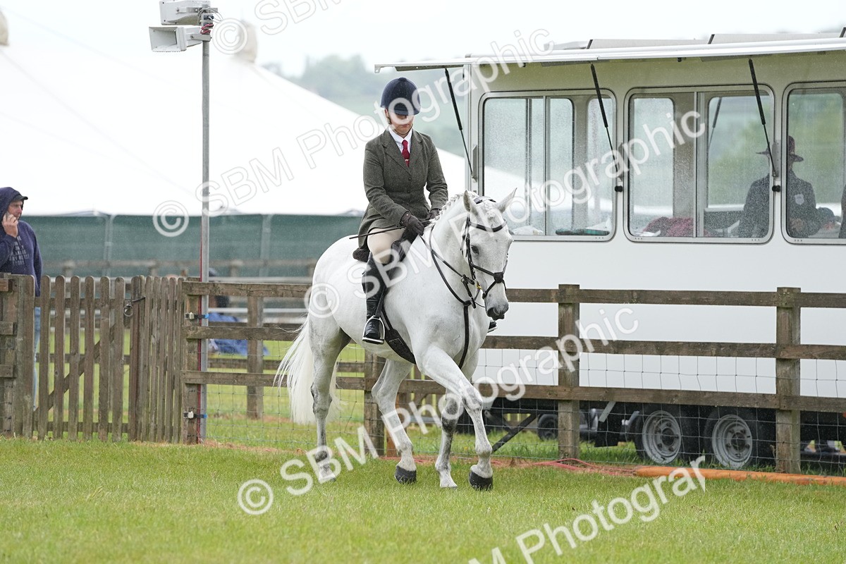 SBM_12677 - Class 97-98 - LIHS BSHA Rising Star Working Show Horse Hunter