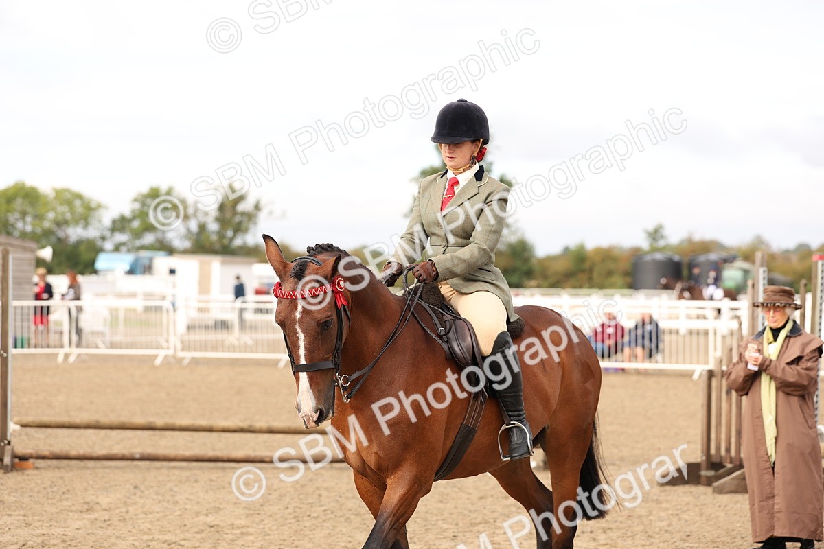 SBM_01516 - Class 52 - Ridden Veteran