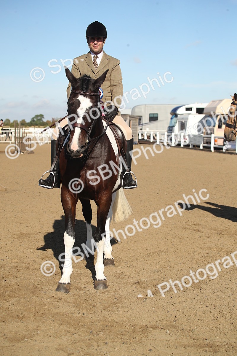 SBM_11345 - Class 501 -Riding Club Pony