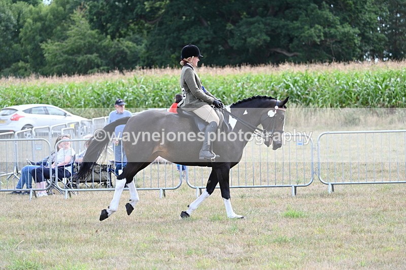 WJ7_6433 - Class 13 Ridden Veterans
