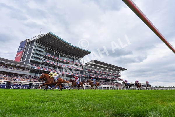 230825-Race 1-King Of Cities-9571-2 - Race 1 1.50pm Sky Bet Strensall Stakes