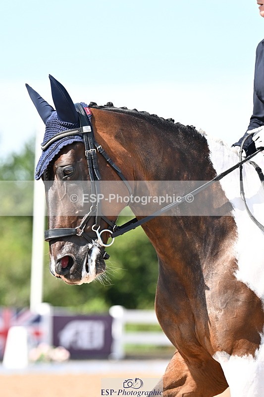 240816A-144826-05502 - 208-Sophie.Savage-Two.Tone.Ted