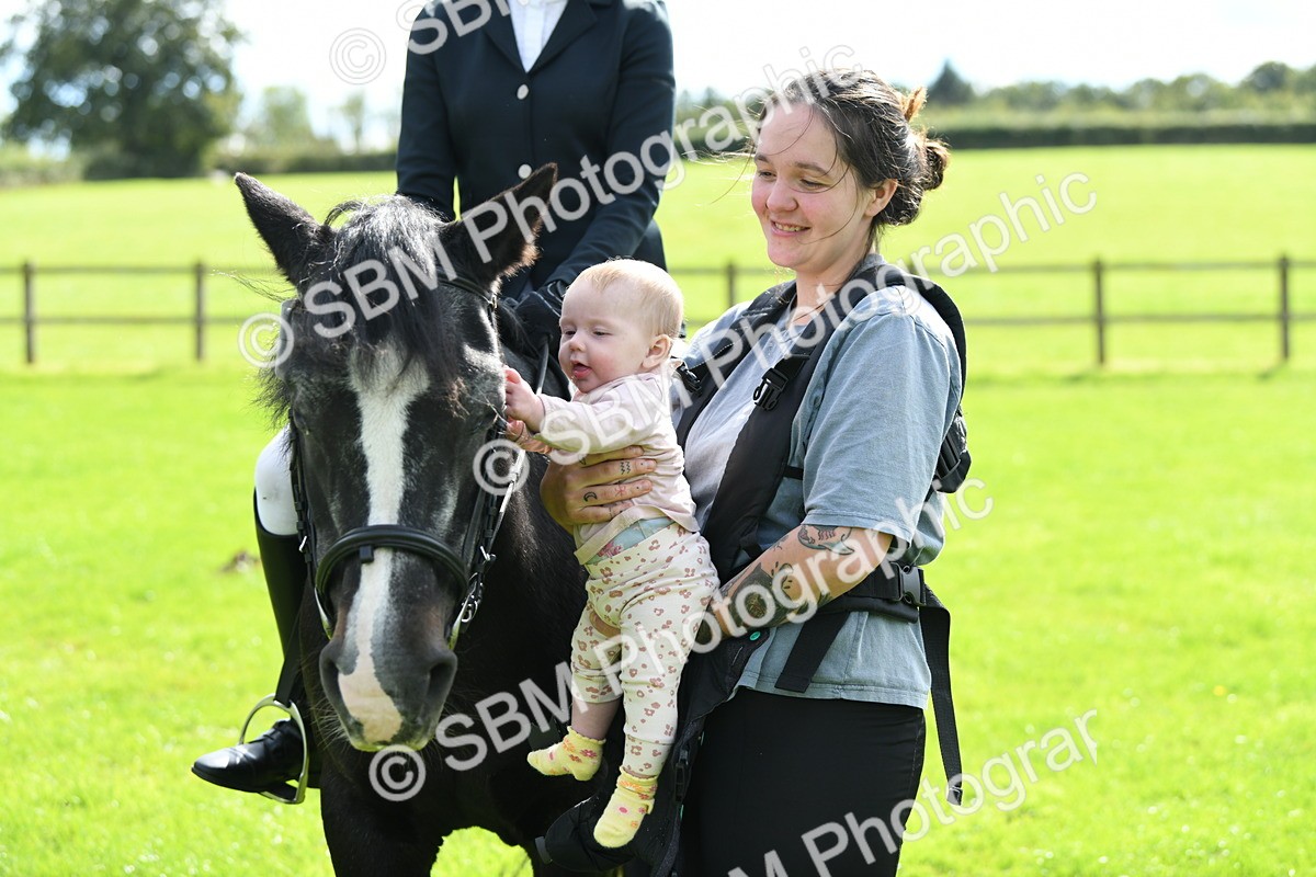 SBM_46821 - S12 - Family Horse & Pony