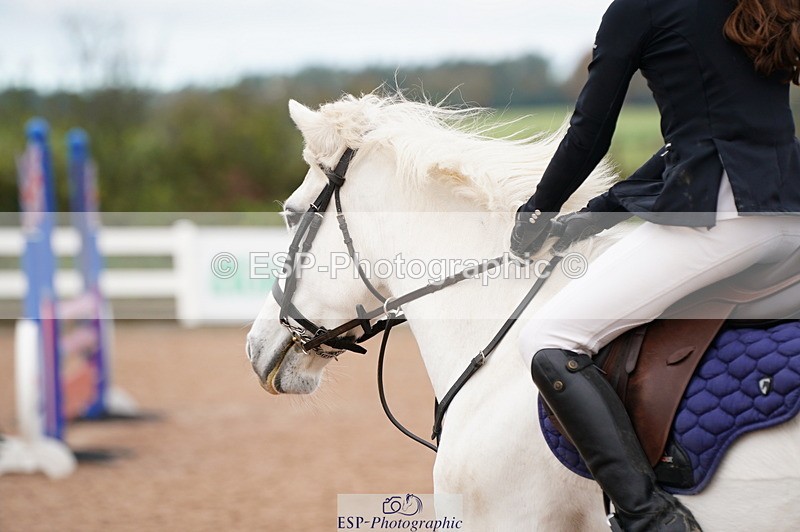 241027A-094252-01853 - SUN Cls 2 Pony Intro 70cm
