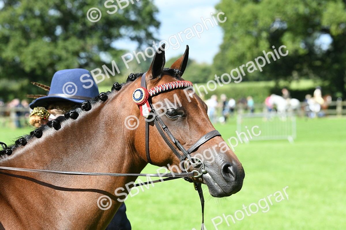 SBM_41235 - S19 - Lead Rein Show & Show Hunter Pony