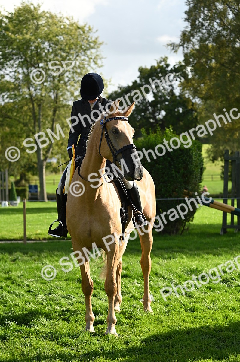 SBM_26477 - S6 - Novice & newcomer Ridden horse