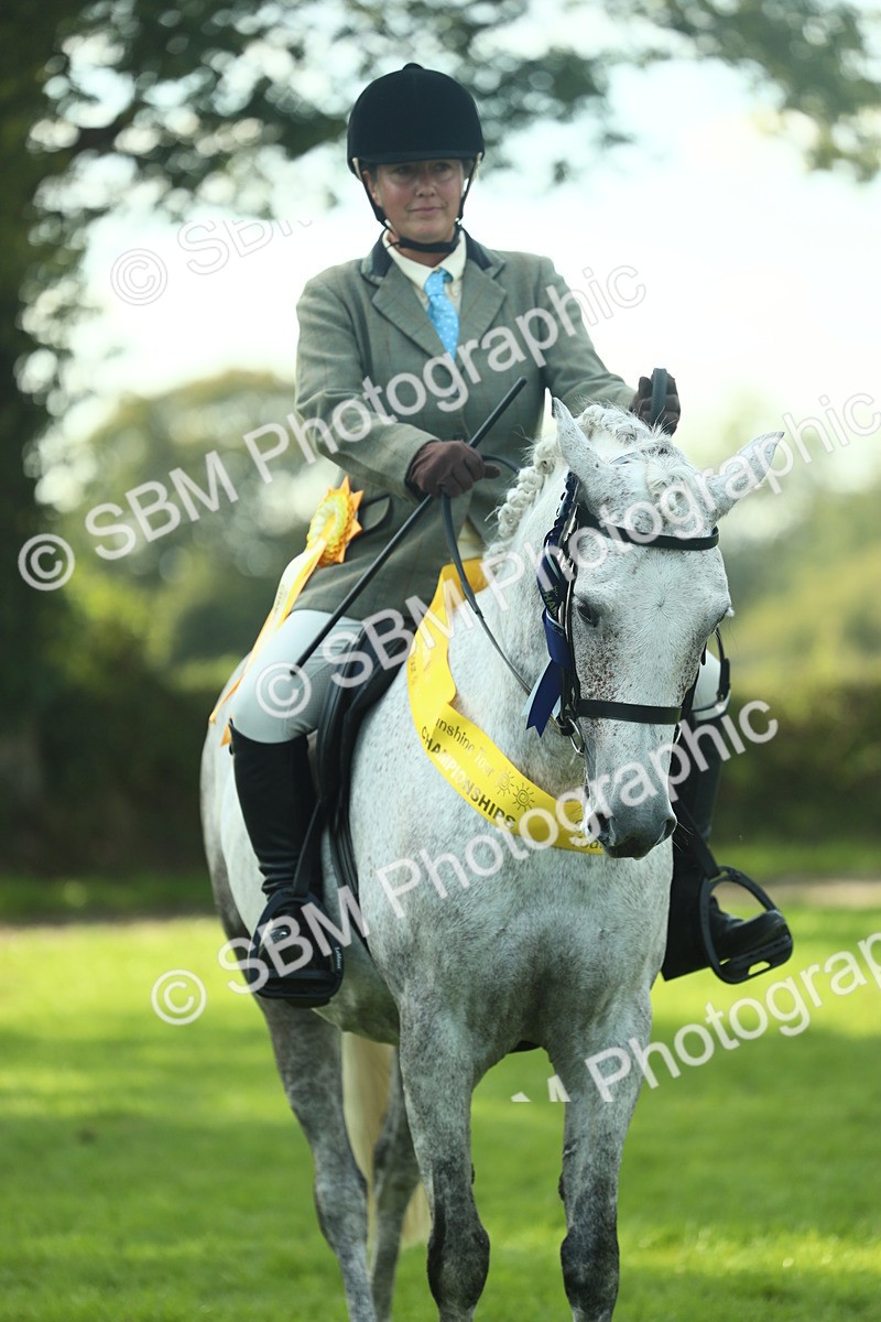 SBM_52333 - Working Hunter Supreme Championship