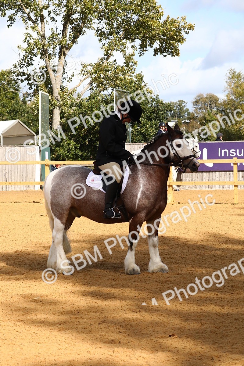 SBM_18394 - D31 - Grand Tour PYO Open .