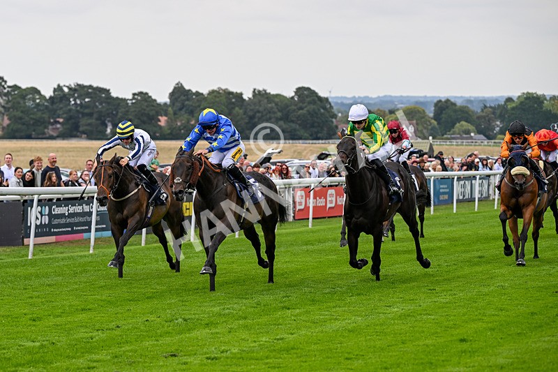 290826-Race 1-Trilby-5252 - Race 1 1.45pm Blink And You Miss It Sprint Handicap