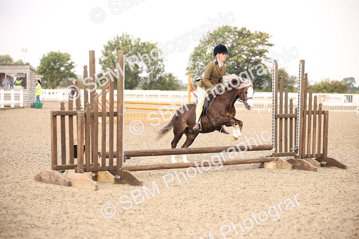 SBM_11694 - Class 404b Junior Working Veteran- 40cm(20+)