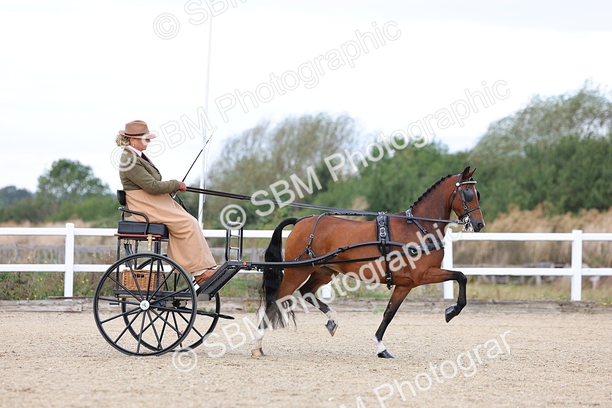 SBM_000259 - Class 2 - Exercise Vehicle 13.2hh & Under