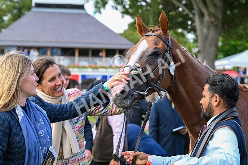 210826-Race 5-Plage De Havre-6960 - Race 5 16.10pm Assured Data Protection Handicap