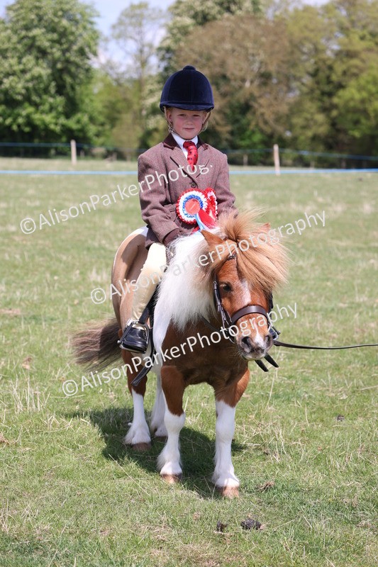 20250427-3325 - Small Pony Championship
