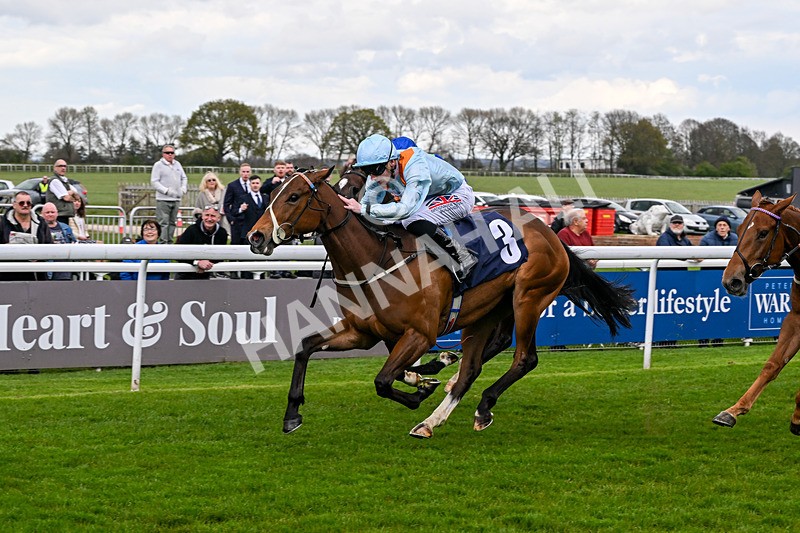 150426-Race 3-Bayside-6078 - Race 3